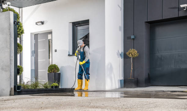 Best Roof Washing  in Bayport, NY